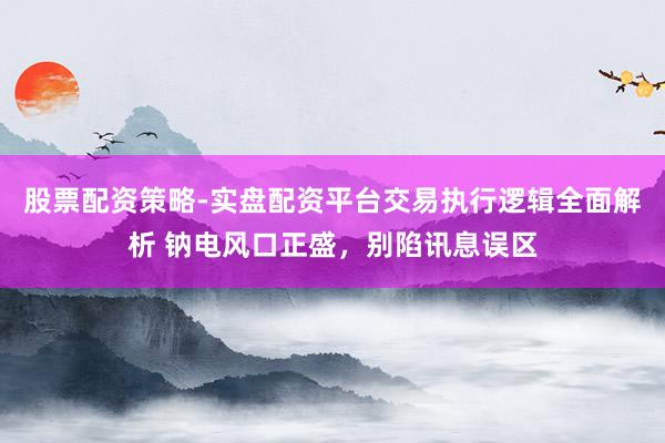 股票配资策略-实盘配资平台交易执行逻辑全面解析 钠电风口正盛，别陷讯息误区